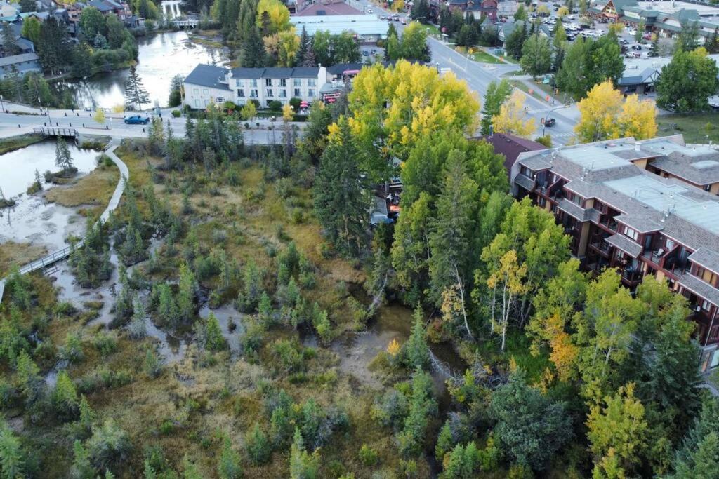 C202 Town Centre, Mtn View, Sleeps 7, Ac, Free Parking Apartment *